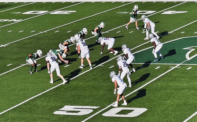 奉献了一场 奉献了一场