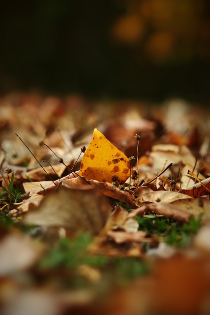 約未果的事 約未果的事