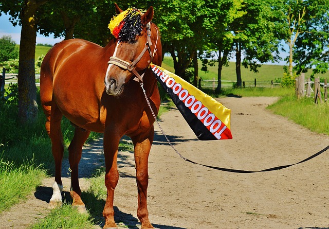 整与心理辅 整与心理辅