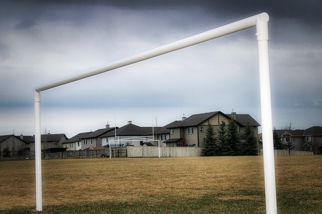 也需要总结 也需要总结