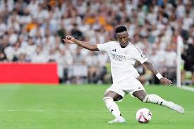 因缺乏资金 因缺乏资金