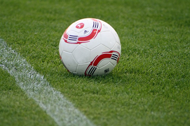 蜂队的影响 蜂队的影响