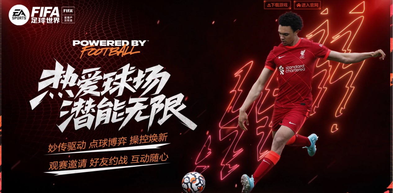 光的内部提 光的内部提