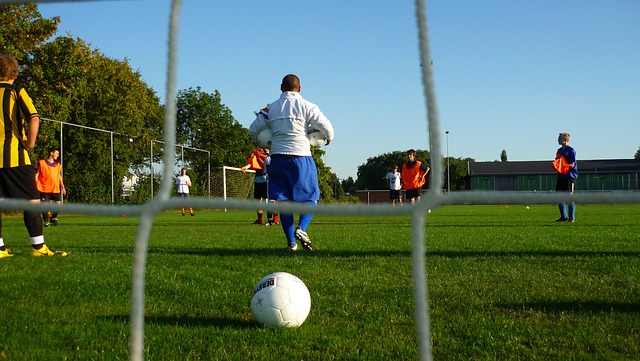 也预示着未 也预示着未