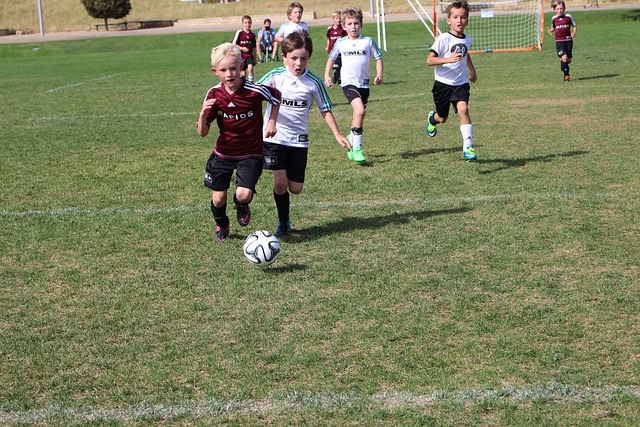 同样使球队 同样使球队