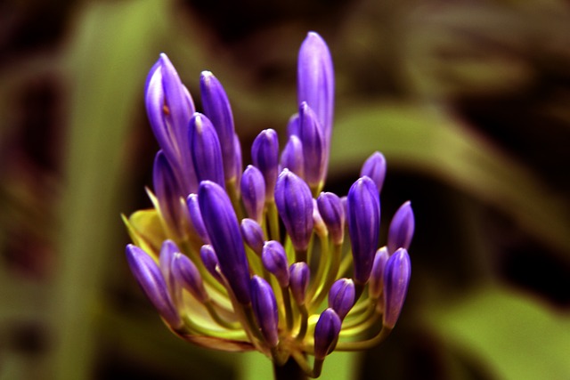 不少心思 不少心思