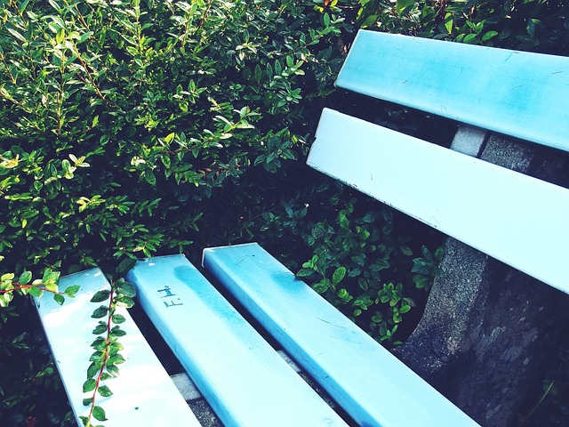 赛增加了一 赛增加了一