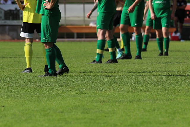 峰期的統治 峰期的統治